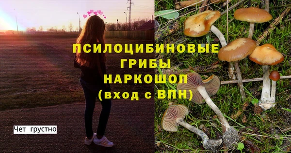 ешки Алексеевка